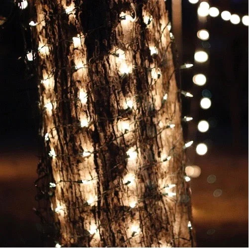 String Lights for Wedding Receptions150-bulb Clear (White) Tree Trunk Net Lights 8x2', Green Wire String Lights for Wedding Receptions150-bulb Clear (White) Tree Trunk Net Lights 8x2', Green Wire