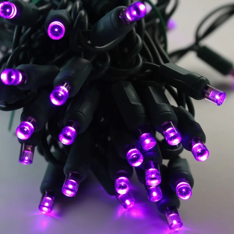 String Lights for DIY Home Decor Projects50-light 5mm Purple LED Christmas Lights, 4" Spacing Green Wire String Lights for DIY Home Decor Projects50-light 5mm Purple LED Christmas Lights, 4" Spacing Green Wire