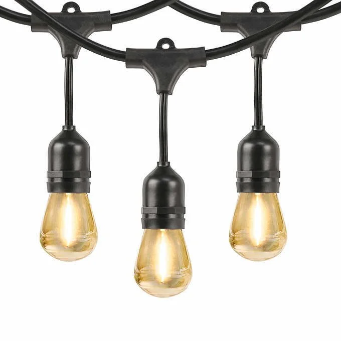 String Lights for Seasonal Decorations (Spring, Fall, etc.)48 ft. LED String Patio Lights - 24 Sockets (E26) - Commercial Grade String Lights for Seasonal Decorations (Spring, Fall, etc.)48 ft. LED String Patio Lights - 24 Sockets (E26) - Commercial Grade