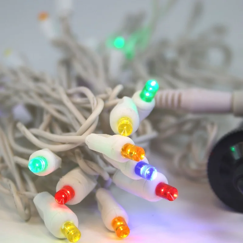 String Lights for Porch Lighting12 Volt LED Lights Multicolor on White Wire