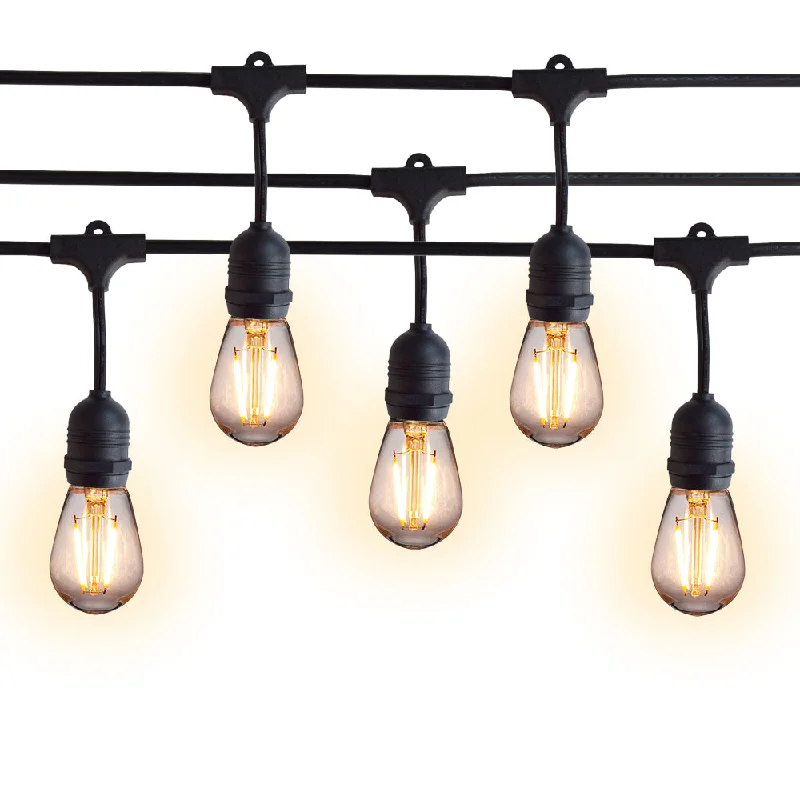 String Lights for Porch Lighting24 Suspended Socket Outdoor Commercial String Light Set, 54 FT Black Cord w/ 2-Watt Shatterproof LED Bulbs, Weatherproof SJTW