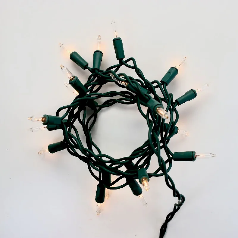 String Lights with Clear Bulbs for a Classic Look20-bulb Clear Glass Craft Lights, Green Wire String Lights with Clear Bulbs for a Classic Look20-bulb Clear Glass Craft Lights, Green Wire