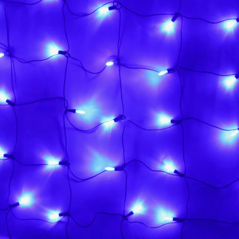Fairy String Lights for Bedroom Decor100-light M5 Blue LED Net Lights, Green Wire