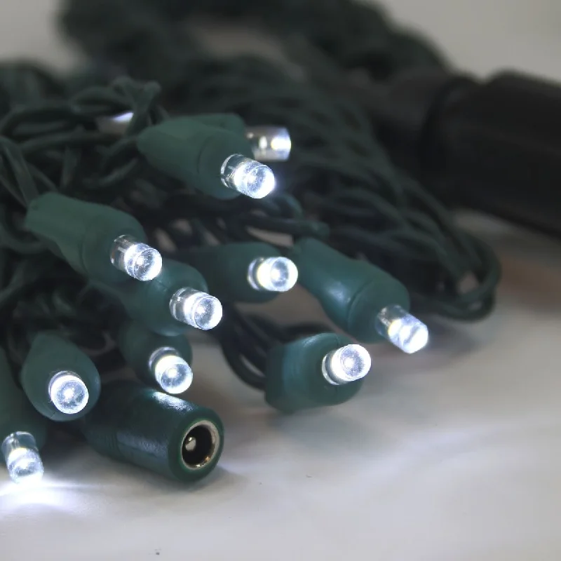 String Lights with Multicolored Bulbs for Festive Occasions12 Volt LED Light Set Pure White Green Wire String Lights with Multicolored Bulbs for Festive Occasions12 Volt LED Light Set Pure White Green Wire