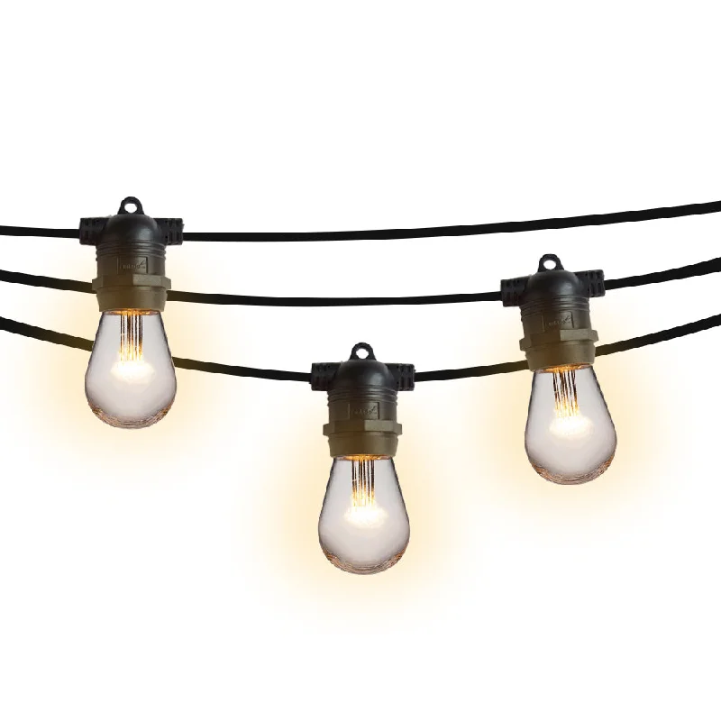 String Lights for Seasonal Decorations (Spring, Fall, etc.)10 Socket Outdoor Commercial String Light Set, Shatterproof LED Light Bulbs Warm White, 21 FT Black Cord, Weatherproof String Lights for Seasonal Decorations (Spring, Fall, etc.)10 Socket Outdoor Commercial String Light Set, Shatterproof LED Light Bulbs Warm White, 21 FT Black Cord, Weatherproof