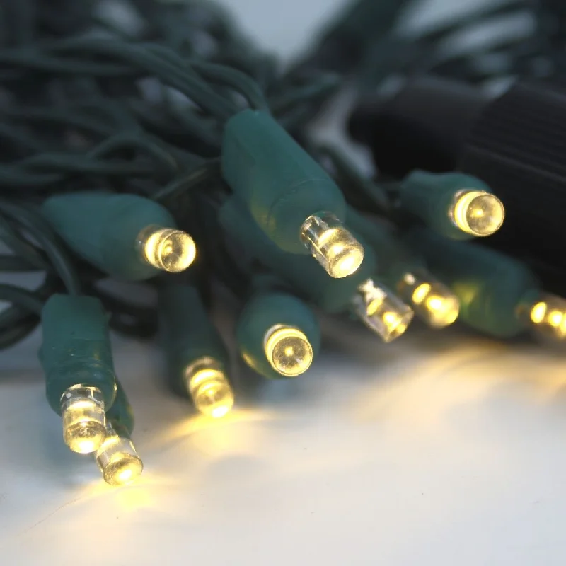 String Lights for Camping Trips12 Volt LED Light Set Warm White Green Wire