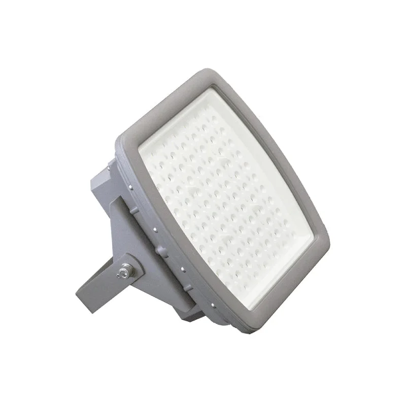 Industrial Area Lighting for Large Open SpacesEXPF 100W LED Explosion-Proof Flood Light, 6000K