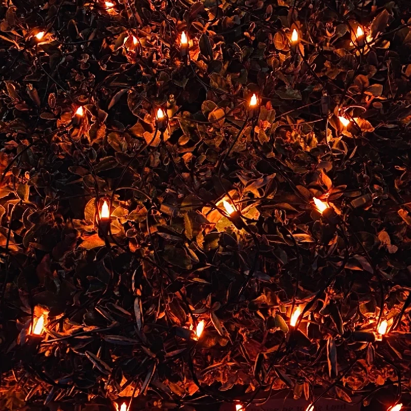 Twinkling String Lights for a Magical Atmosphere150-bulb Opaque Orange Net Lights, Black Wire Twinkling String Lights for a Magical Atmosphere150-bulb Opaque Orange Net Lights, Black Wire