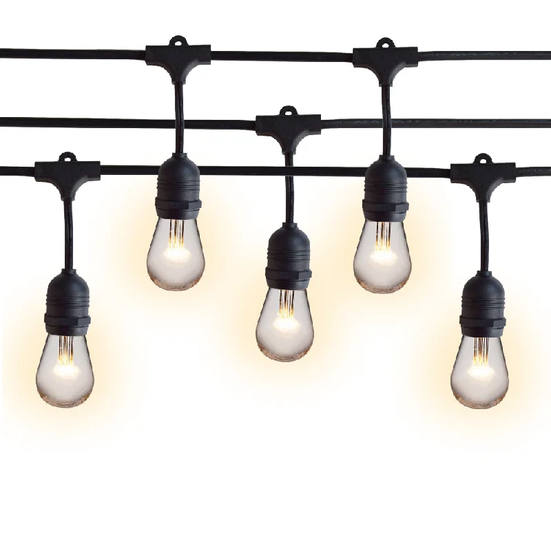 String Lights with Clear Bulbs for a Classic Look48-Foot Shatterproof S14 Warm White LED String Light Outdoor Commercial Weatherproof SJTW Suspended Cord Black, 15 Bulb, 10.5 Total Watts String Lights with Clear Bulbs for a Classic Look48-Foot Shatterproof S14 Warm White LED String Light Outdoor Commercial Weatherproof SJTW Suspended Cord Black, 15 Bulb, 10.5 Total Watts