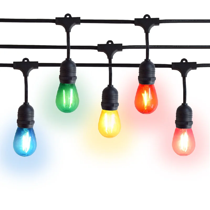 String Lights for Seasonal Decorations (Spring, Fall, etc.)24 Suspended Multi-Color Socket Outdoor Commercial String Light Set, 54 FT Black Cord w/ 2-Watt Shatterproof LED Bulbs, Weatherproof SJTW String Lights for Seasonal Decorations (Spring, Fall, etc.)24 Suspended Multi-Color Socket Outdoor Commercial String Light Set, 54 FT Black Cord w/ 2-Watt Shatterproof LED Bulbs, Weatherproof SJTW