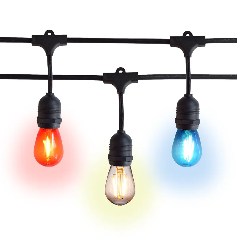 LED String Lights with Warm White GlowShatterproof LED Patriotic 4th of July Outdoor Suspended Commercial String Light, E26, Black Cord LED String Lights with Warm White GlowShatterproof LED Patriotic 4th of July Outdoor Suspended Commercial String Light, E26, Black Cord