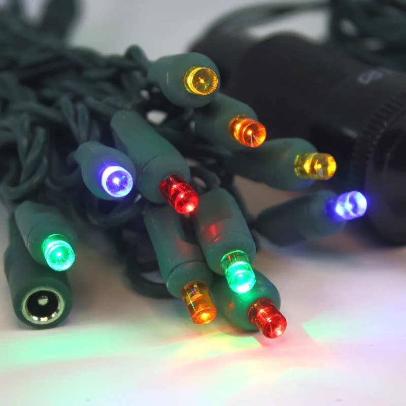 String Lights for Porch Lighting12 Volt LED Light Set Multicolor on Green Wire