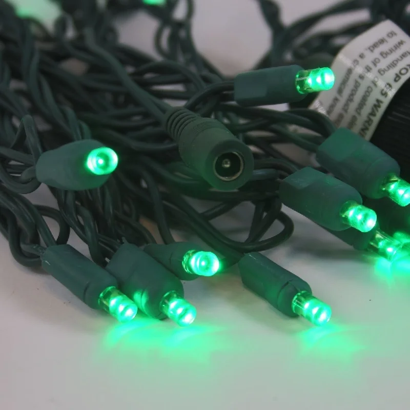 Fairy String Lights for Bedroom Decor12 Volt LED Light Set Green Green Wire