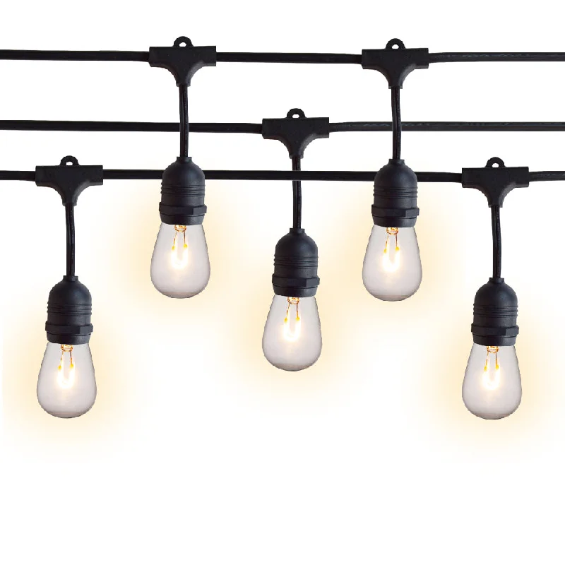 Color - Changing LED String Lights for Christmas Decor24 Suspended Socket Outdoor Commercial Shatterproof LED String Light Set, 54 FT Black Cord w/ E26, Weatherproof SJTW Color - Changing LED String Lights for Christmas Decor24 Suspended Socket Outdoor Commercial Shatterproof LED String Light Set, 54 FT Black Cord w/ E26, Weatherproof SJTW