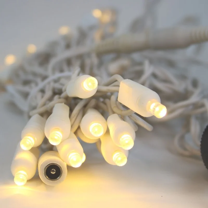 String Lights for Seasonal Decorations (Spring, Fall, etc.)12 Volt LED Light Set Warm White White Wire String Lights for Seasonal Decorations (Spring, Fall, etc.)12 Volt LED Light Set Warm White White Wire