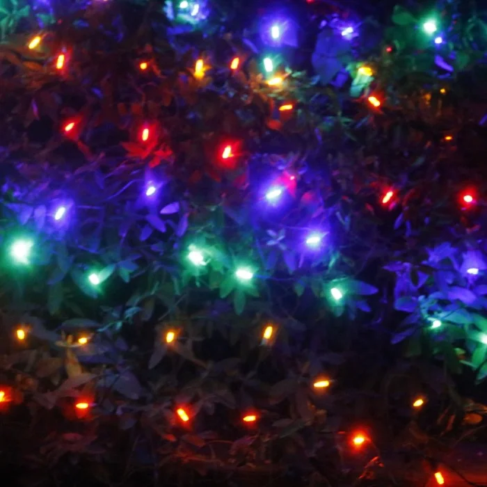 String Lights with Clear Bulbs for a Classic Look100-light M5 Multicolor LED Net Lights, Green Wire String Lights with Clear Bulbs for a Classic Look100-light M5 Multicolor LED Net Lights, Green Wire