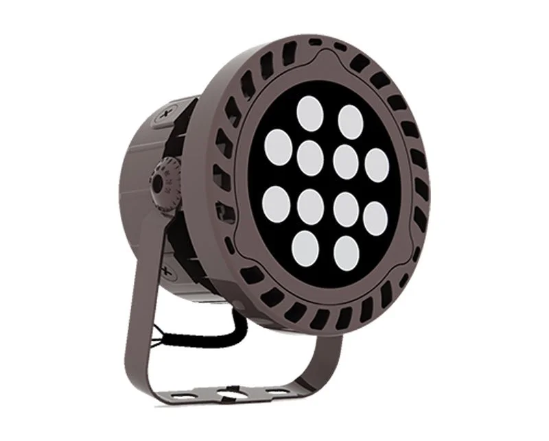 String Lights for DIY Home Decor ProjectsWestgate 30W RGB 60D Lens Flood Light