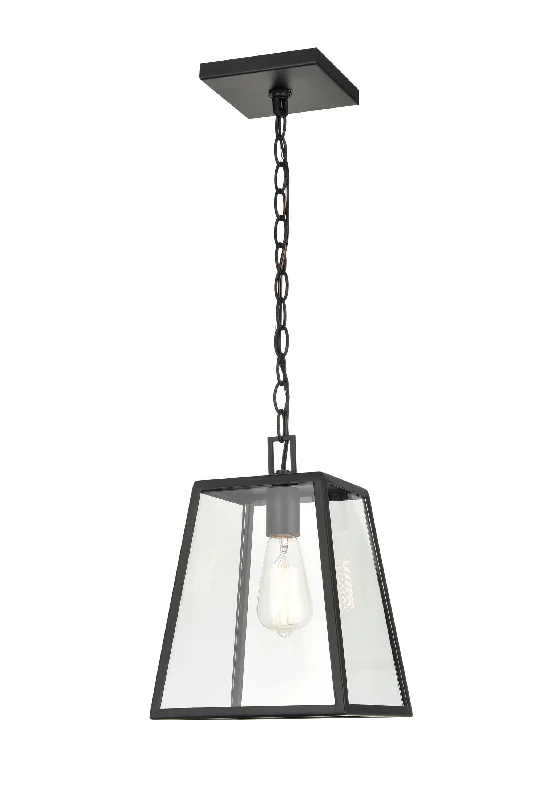 Industrial Style Ceiling Lights with Exposed Bulbs and Metal CagesGrant Outdoor Hanging Lantern - Powder Coated Black - Clear Glass - 9in. Diameter - E26 Medium Base Industrial Style Ceiling Lights with Exposed Bulbs and Metal CagesGrant Outdoor Hanging Lantern - Powder Coated Black - Clear Glass - 9in. Diameter - E26 Medium Base